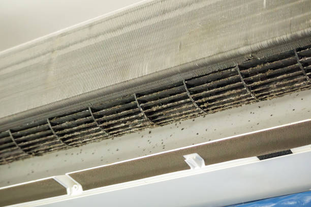 Best Affordable HVAC Duct Cleaning  in Offutt Af, NE